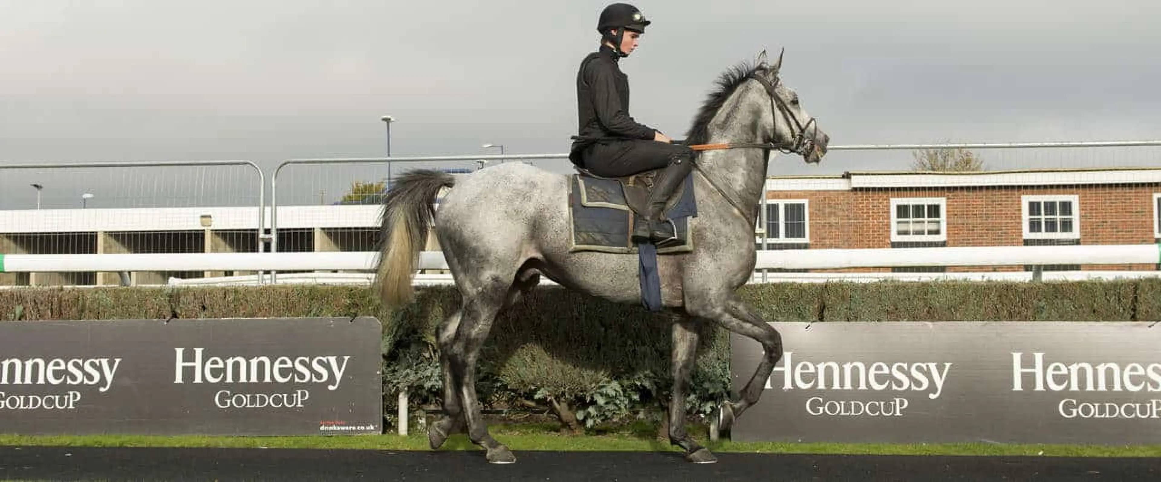 Vyta Du Roc odds are prominent as 2016 Hennessy Gold Cup ante post tips given by Coral horse racing experts.
