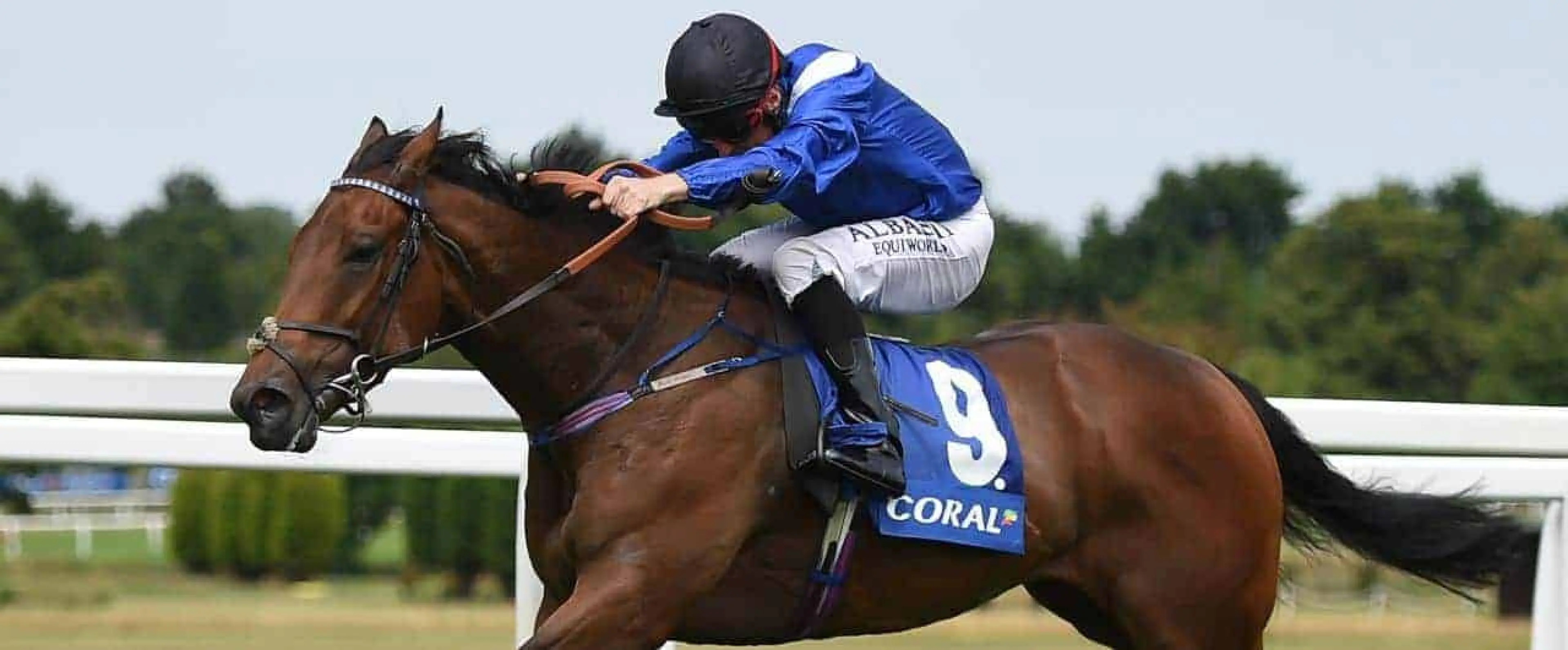 Battash odds