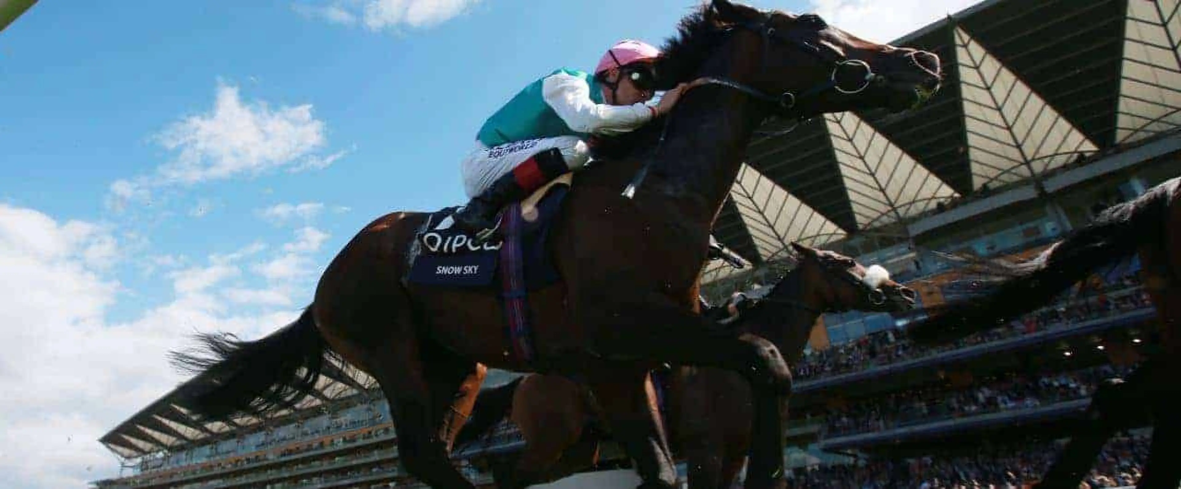 King George VI and Queen Elizabeth Stakes