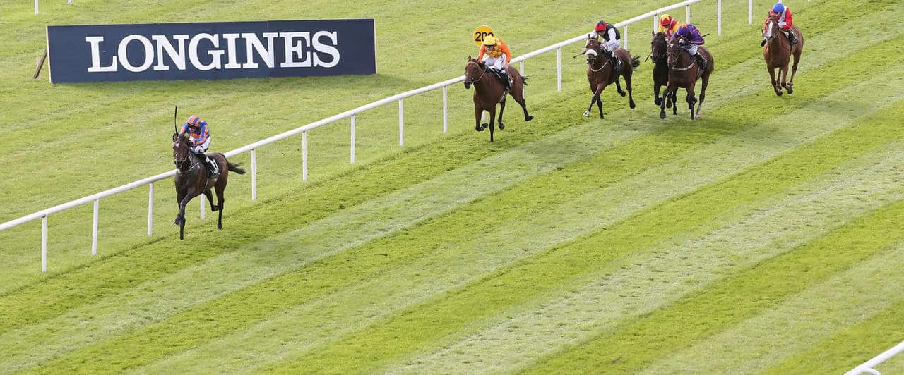 Order Of St George bets are as solid as they come from among Coral experts' 2016 Irish St Leger tips, but there's better value backing Wicklow Brave each-way.