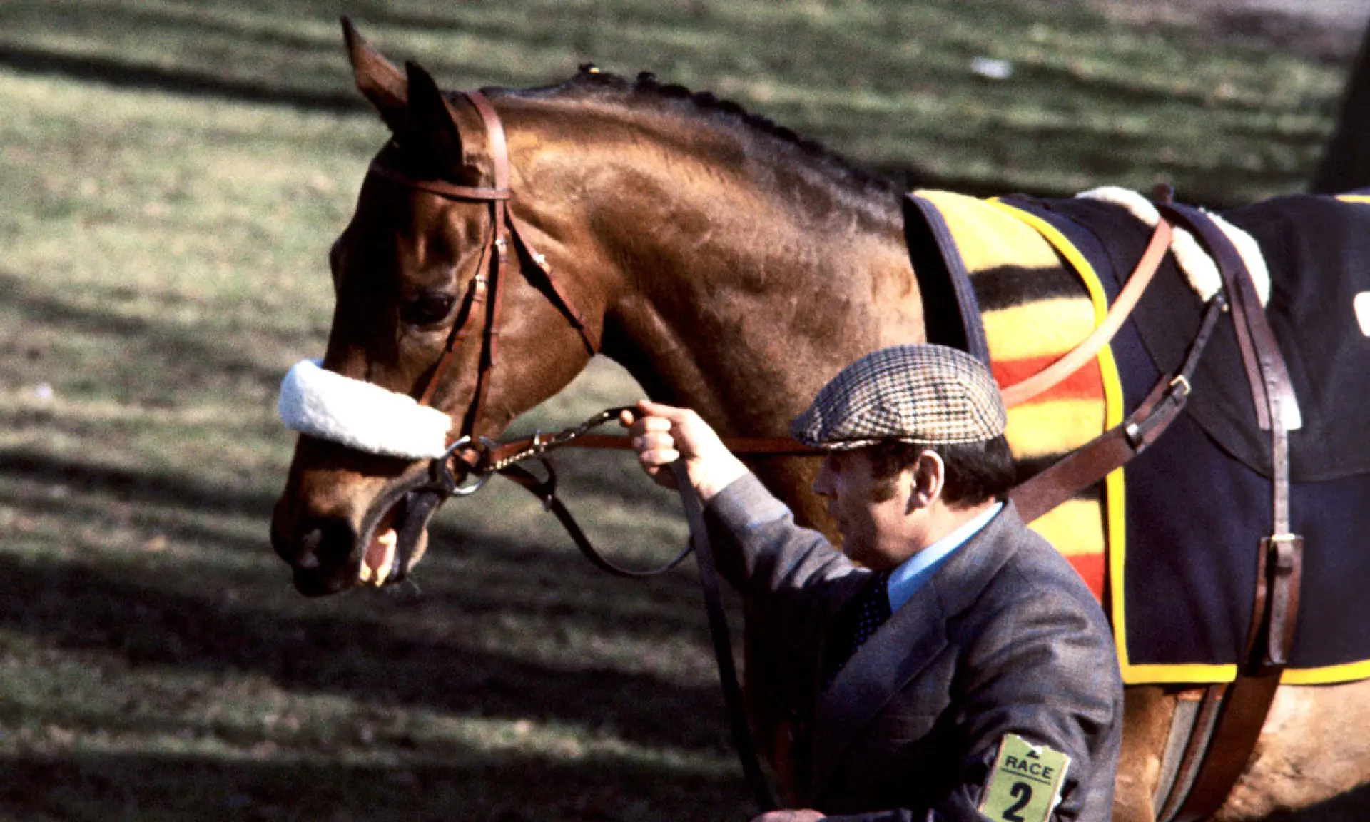 Red Rum, best Grand National horses, horse racing